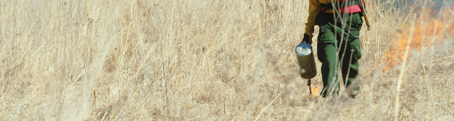 Iowa DNR Prairie Reclamation